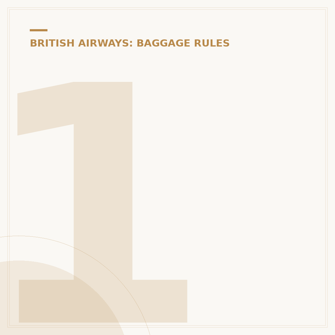 1 Cabin Bag British Airways: Allowance and Rules