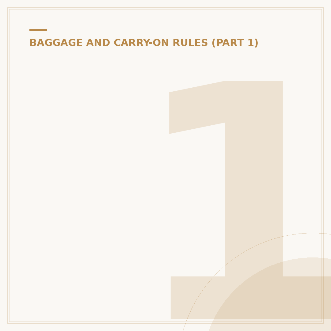 10kg Cabin Bag: Size Standards and Weight Limits