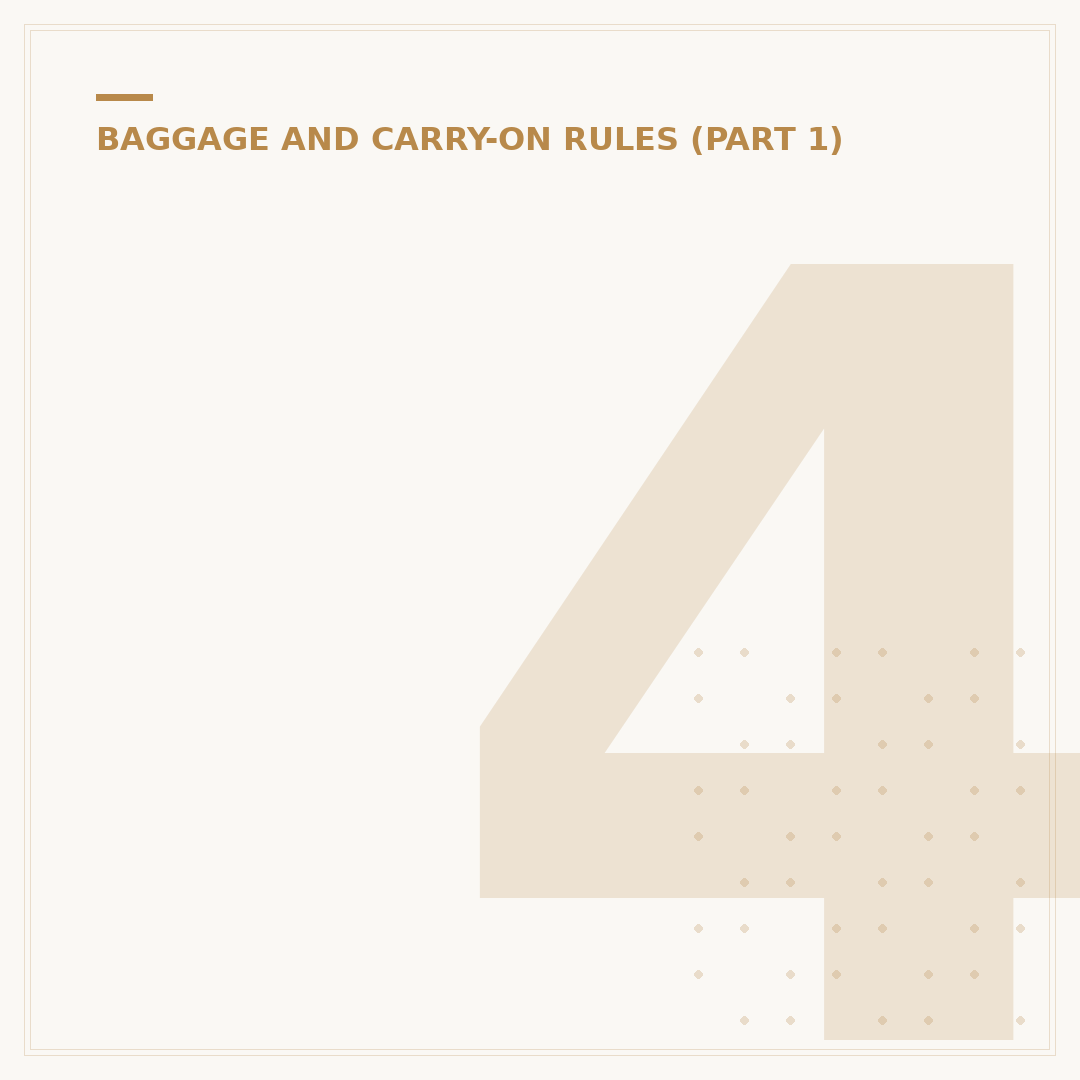 40x30x20 Cabin Bag