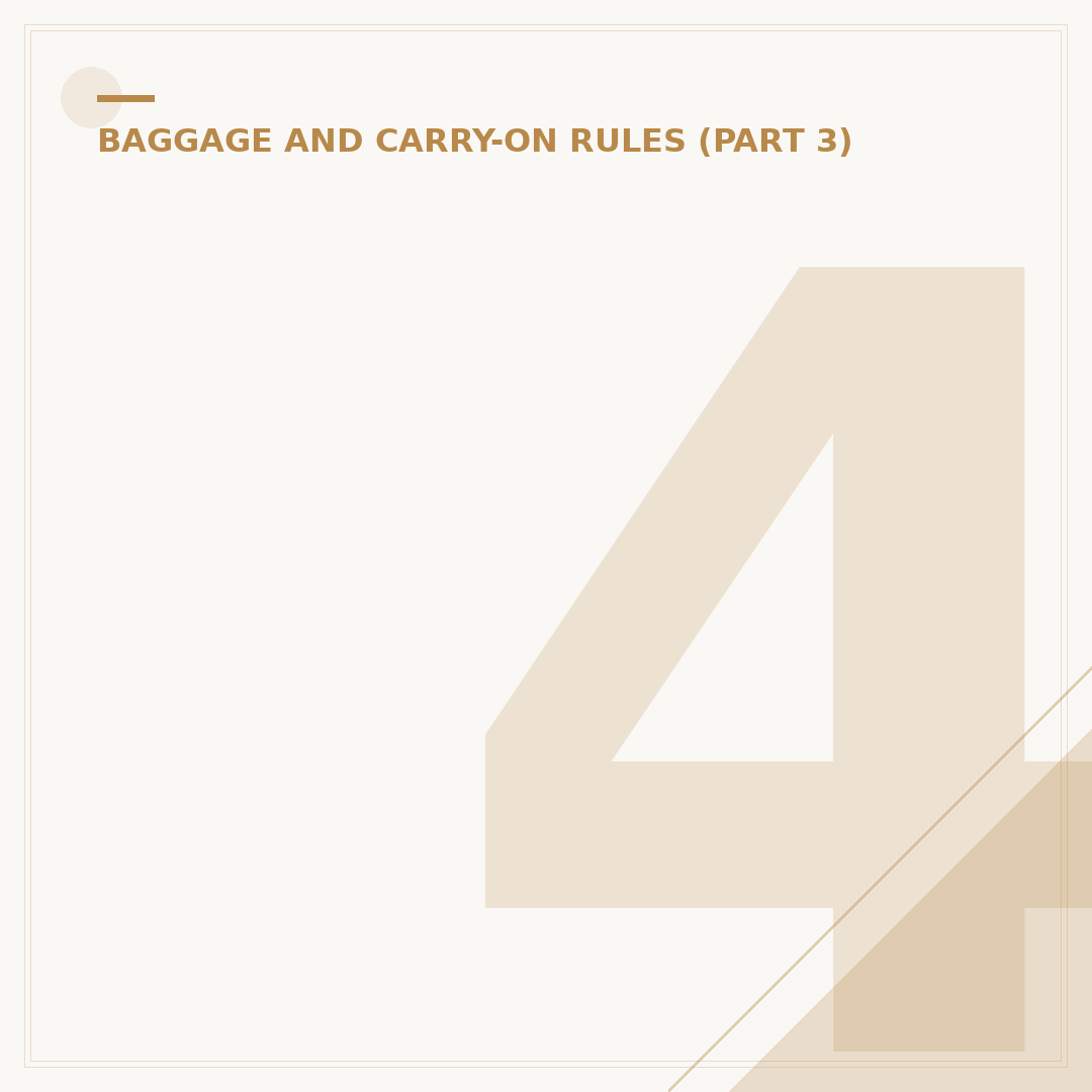 40x30x20 cm Cabin Bag: Understanding Travel Limits