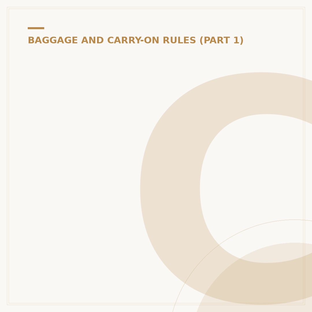 Choosing a 45 36 20 Cabin Bag for Airline Travel