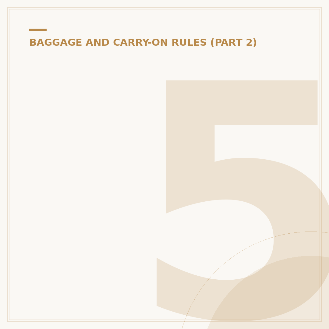 5 Cities Cabin Bag: Selection and Travel Utility