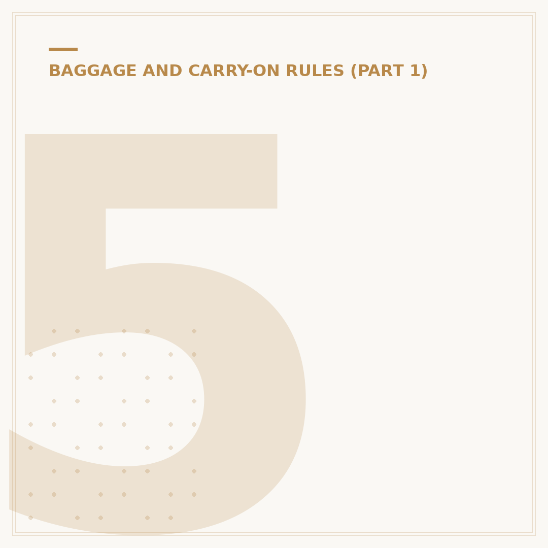 55 40 20 Cabin Bag: Airline Size Compliance Explained