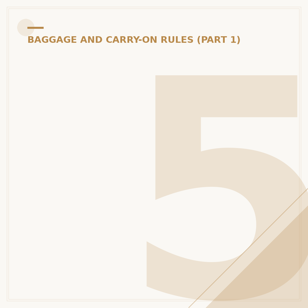 56 45 25 Cabin Bags: Size, Use and Travel Guidance