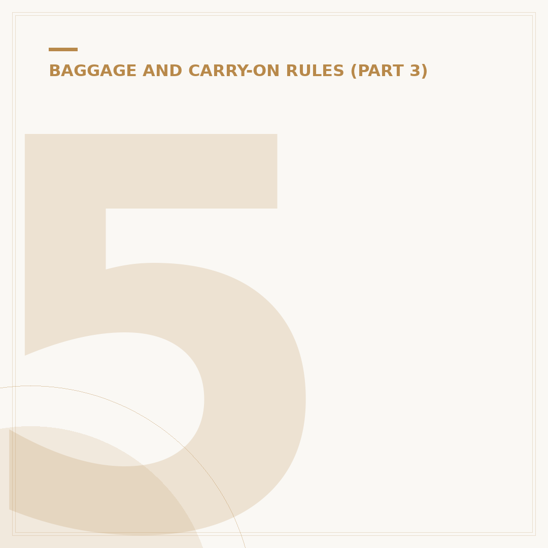 56x36x23 Cabin Bag: Rules and Luggage Selection