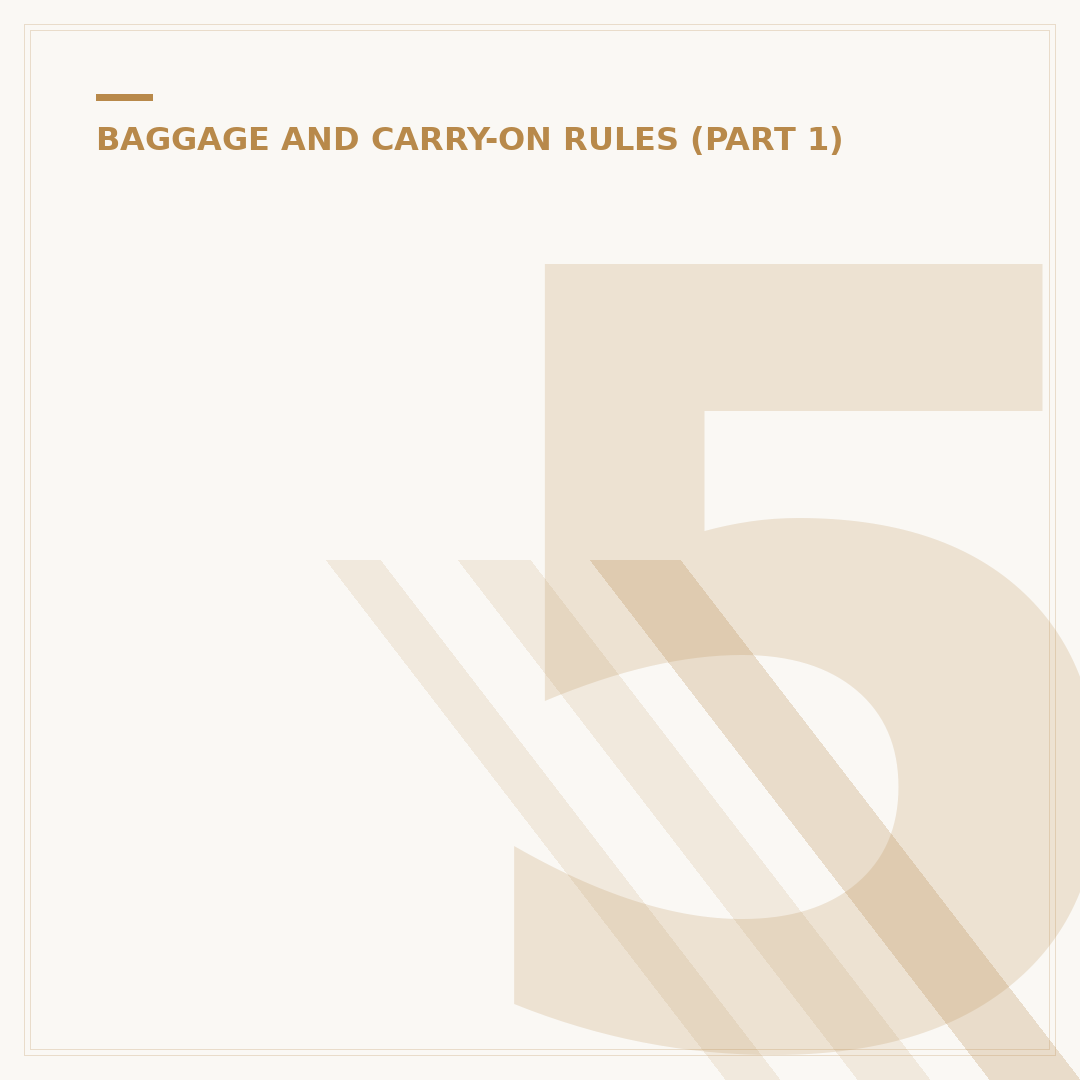 56x45x25 Cabin Bag: Choosing Compliant Hand Luggage