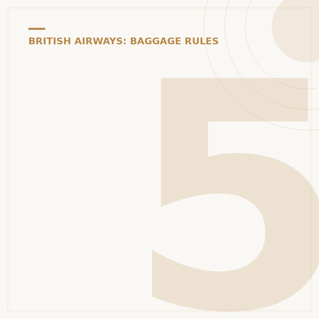 56 x 45 x 25cm Cabin Bag British Airways Rules and Selection