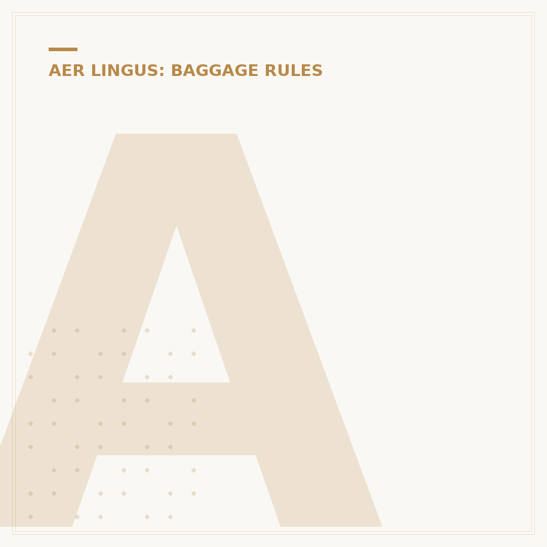 Aer Lingus Baggage: Rules, Allowances and Limits Explained