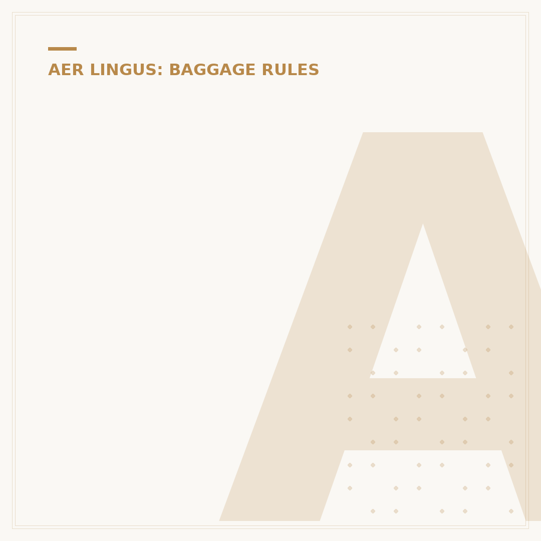 Aer Lingus Baggage Weight Limits Explained