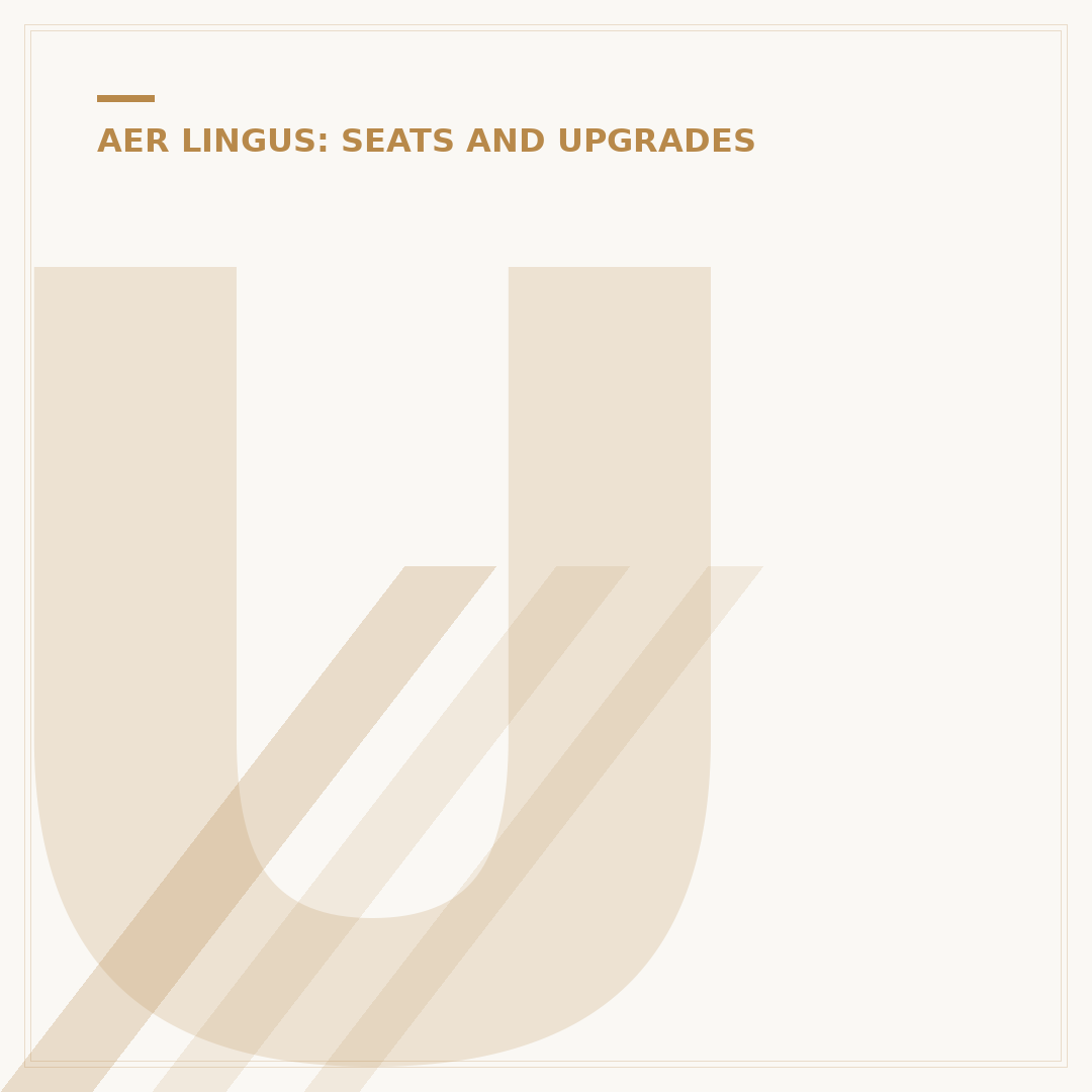 Understanding Aer Lingus Business Class Seat Layouts