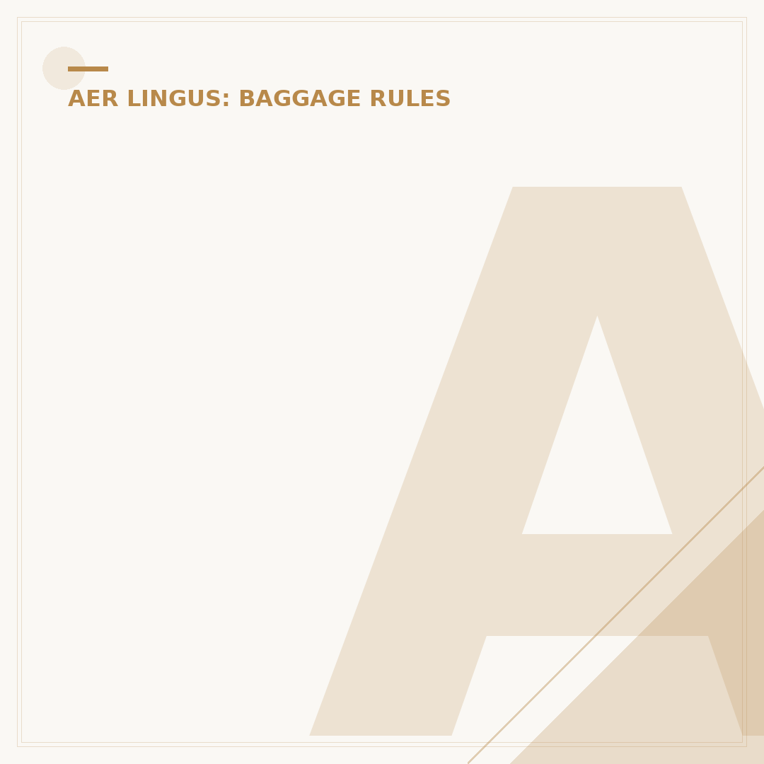 Aer Lingus Checked Baggage Allowance