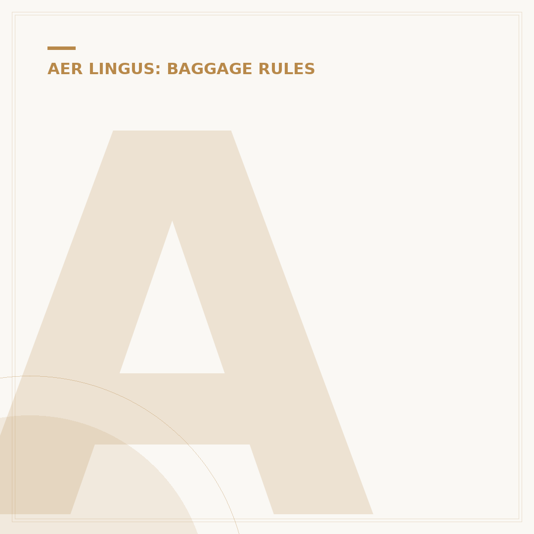 Aer Lingus Personal Item Size: Cabin Rules Explained