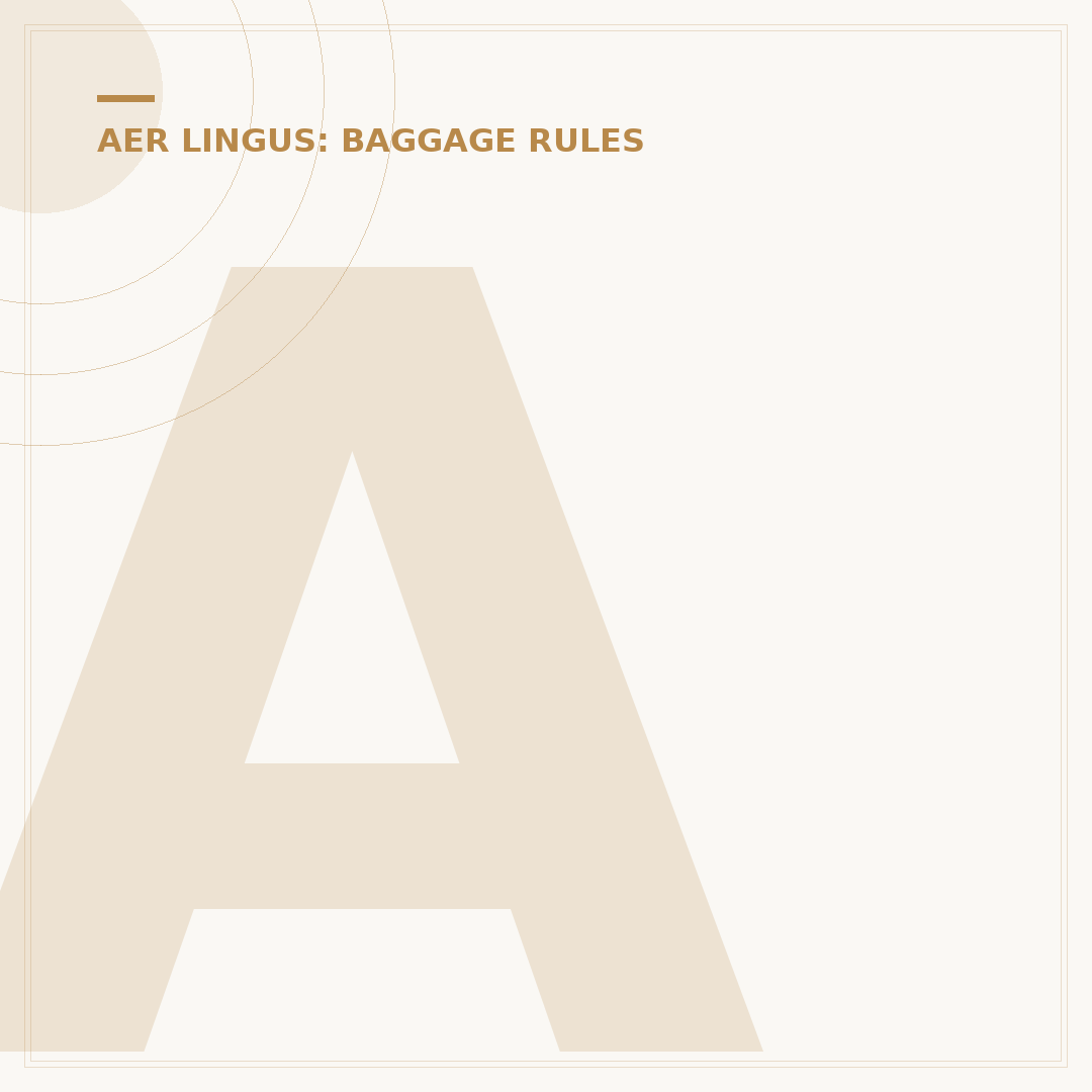 Aer Lingus Under Seat Bag Size: What You Need to Know