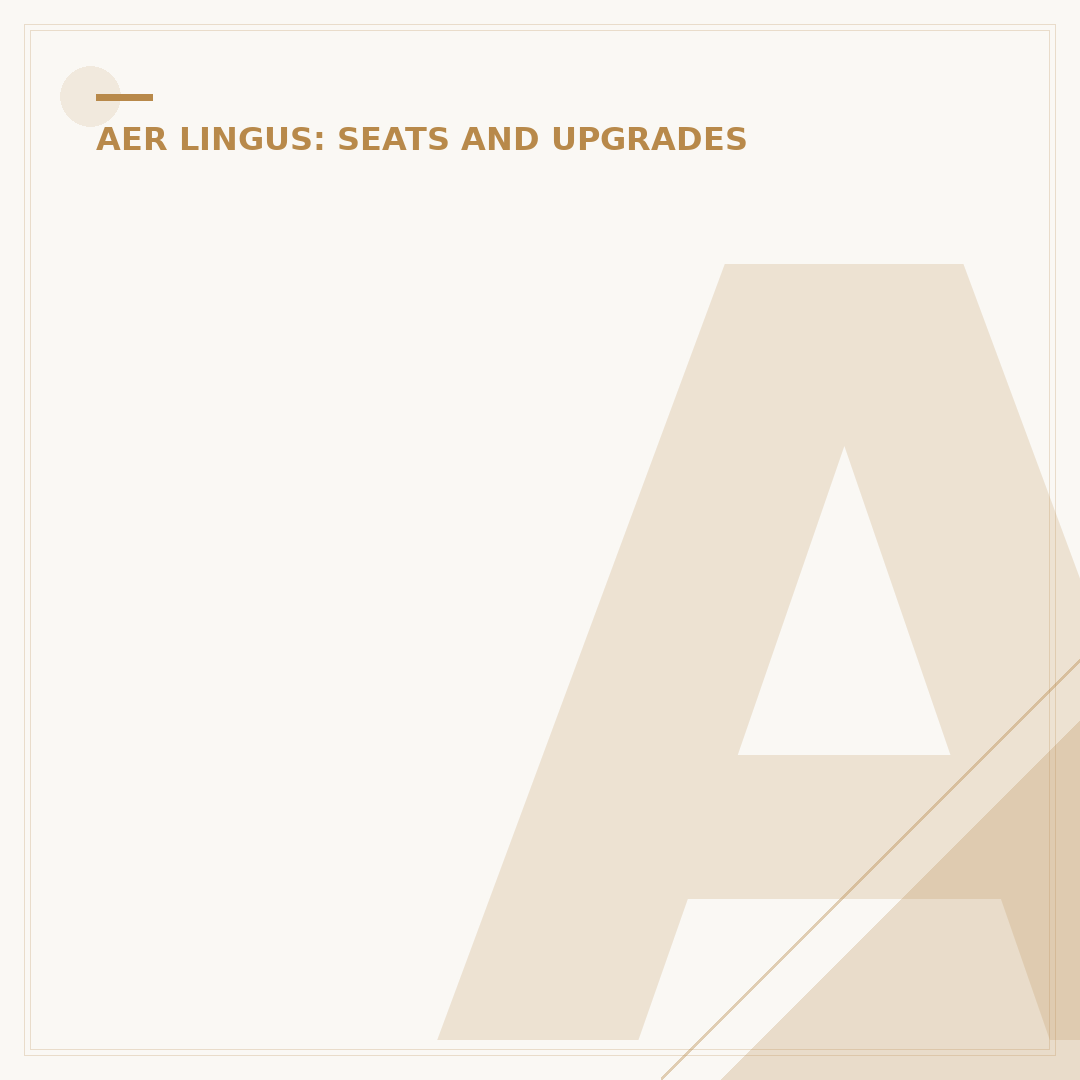 Aer Lingus Upgrade Options & How to Secure Them
