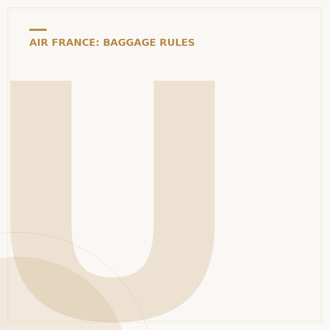Understanding the Air France Hand Baggage Policy