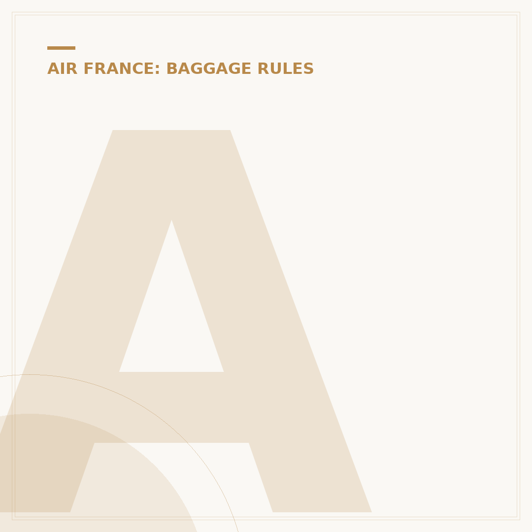 Air France Hand Luggage Size: What You Can Carry