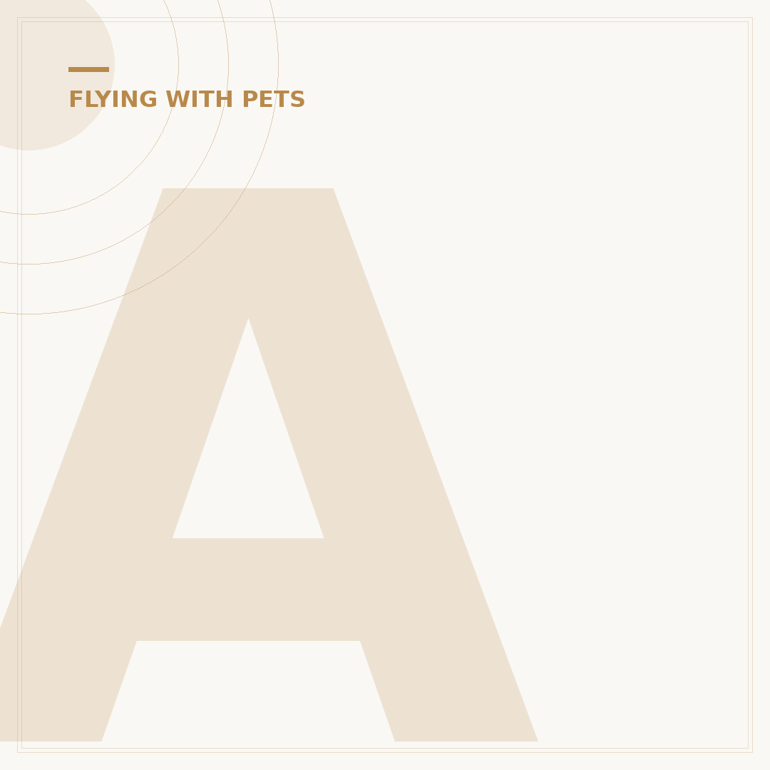 Air France Pet Policy: Official Transport Regulations