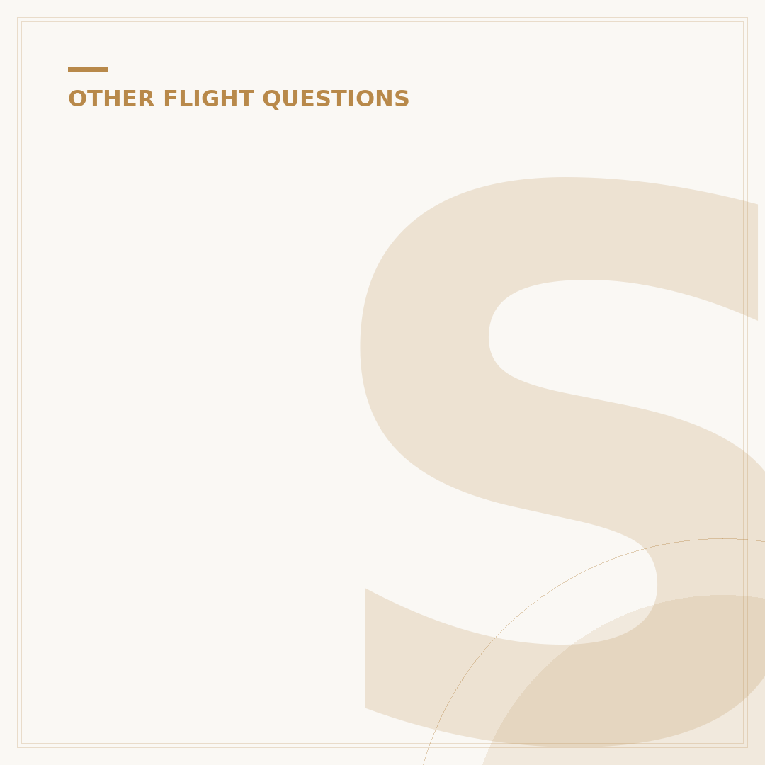 Strategic Air Freight Logistics for Flying with a Car