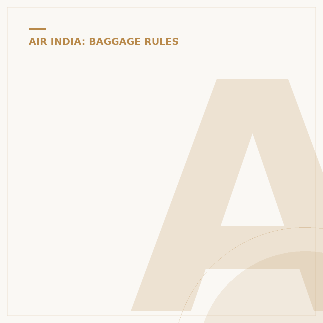 Air India Additional Baggage Rules and Costs Explained