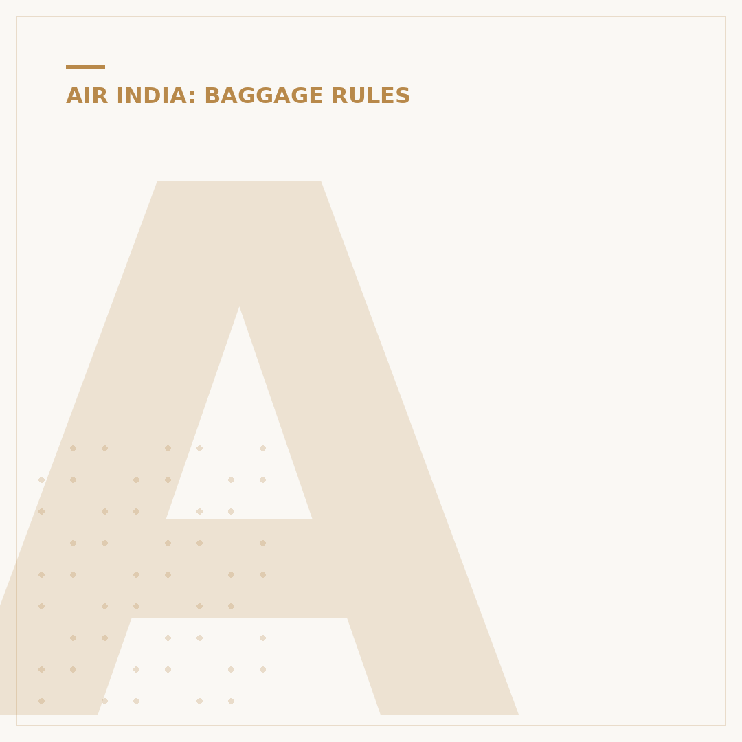 Air India Flight Baggage Policies Explained