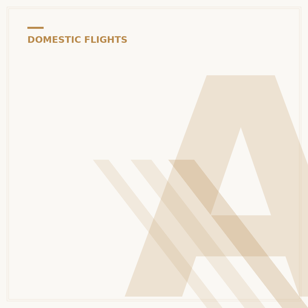 Air New Zealand Domestic Flights