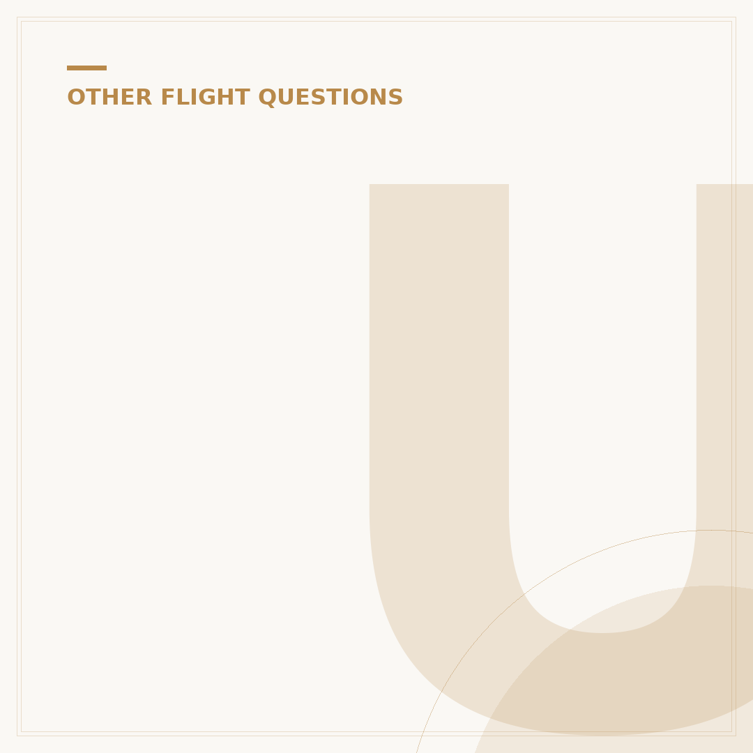 Understanding Air New Zealand Limited Operations