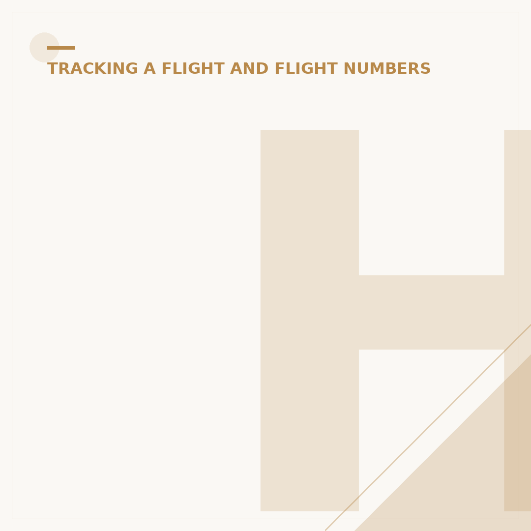 How to Track an Air Transat Flight