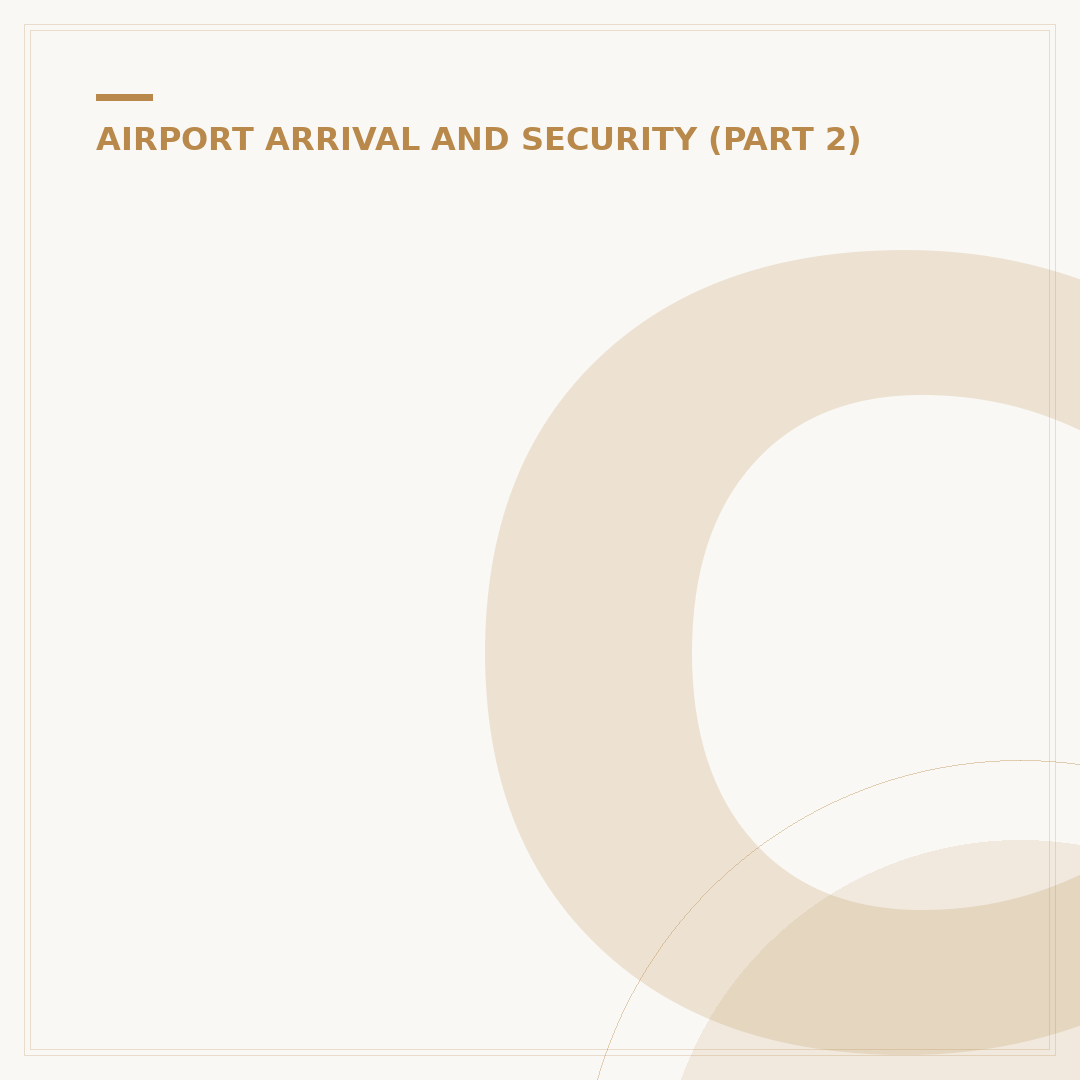 Can Airport Scanners See Inside Your Body?