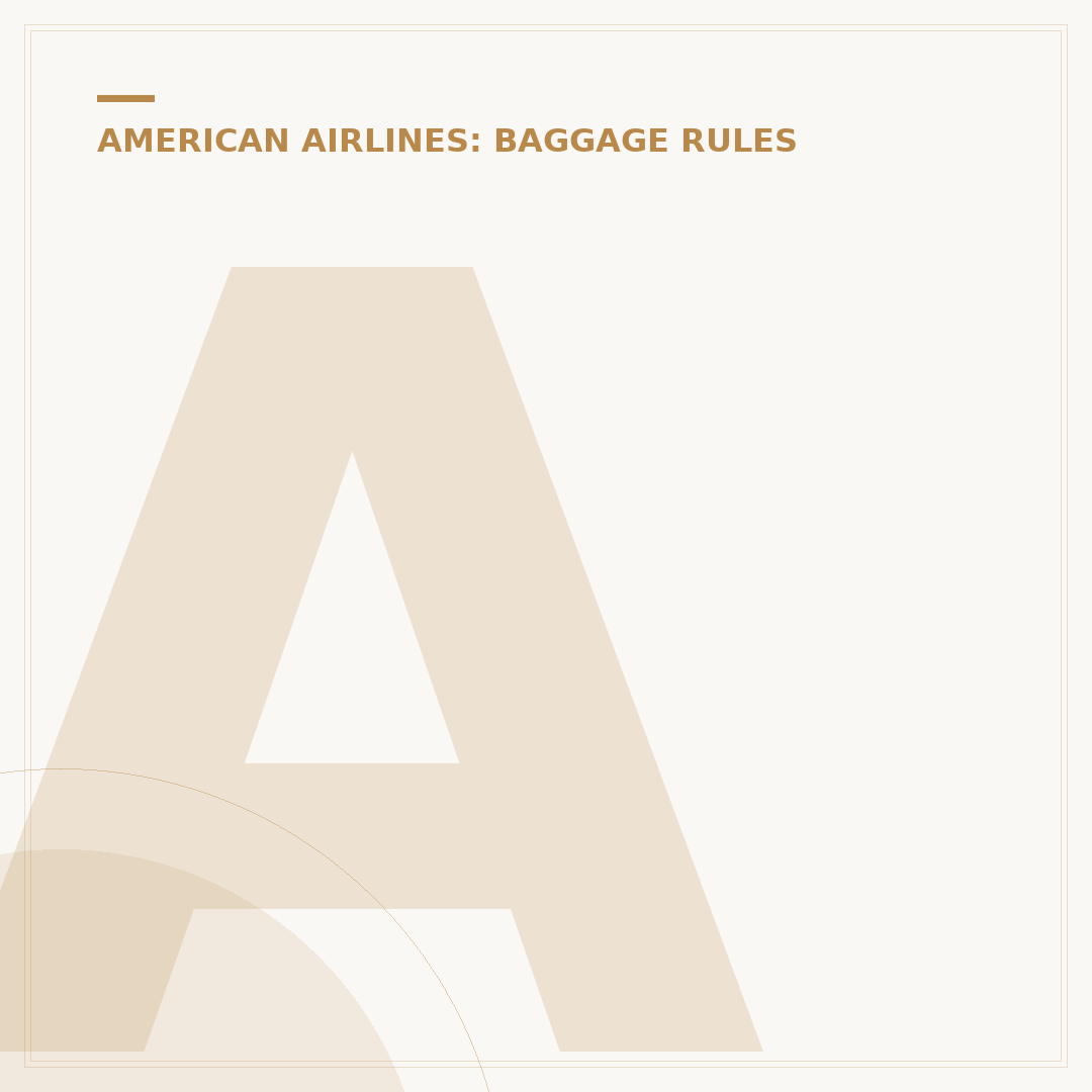 American Airlines Bag Finder
