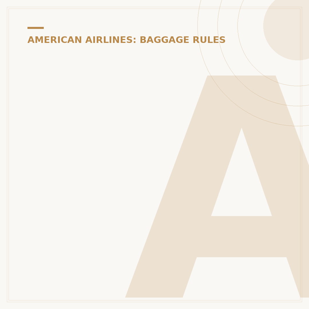 American Airlines Baggage Policy Explained