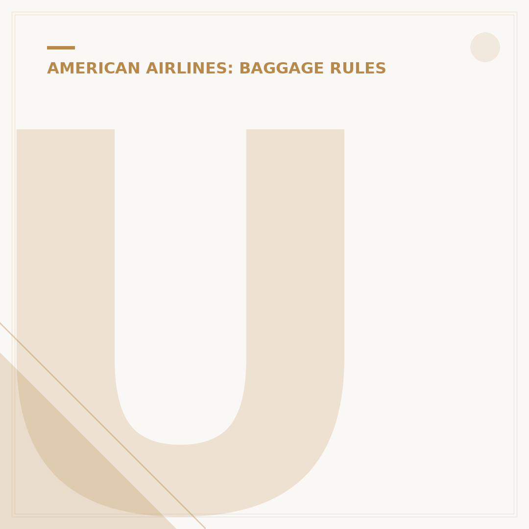 Understanding American Airlines Baggage Regulations