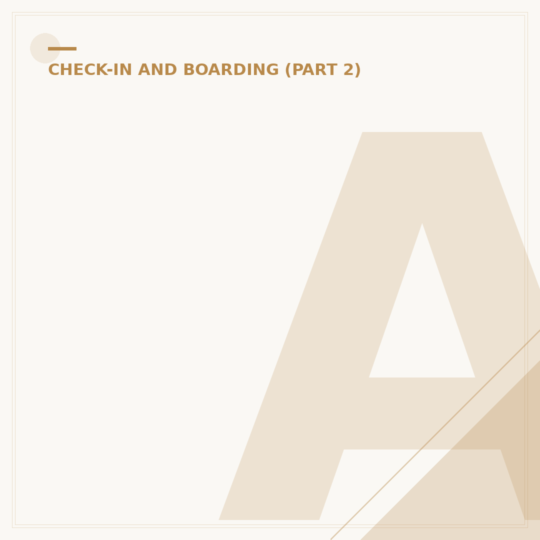 American Airlines Boarding Pass: Validation and Usage