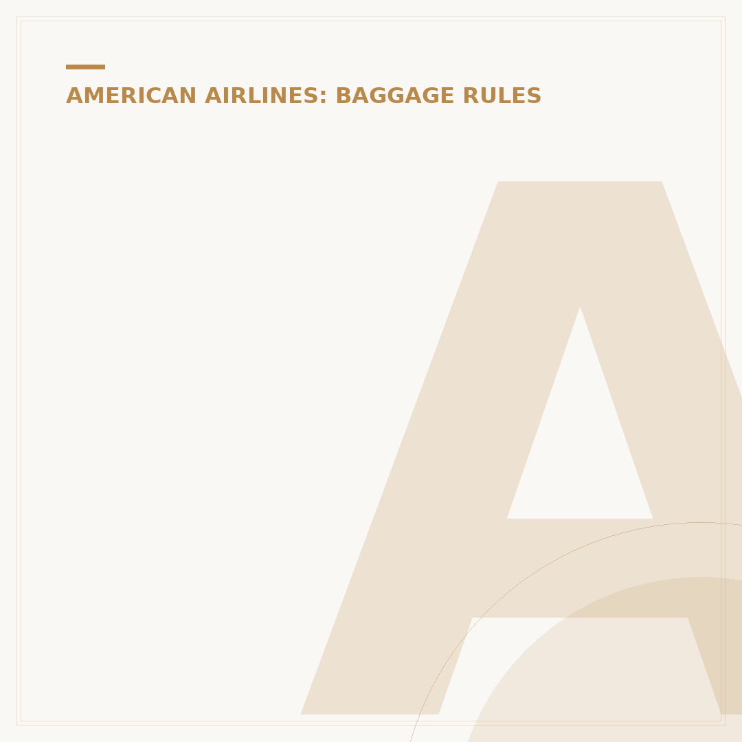 American Airlines Hand Luggage: Rules and Compliance