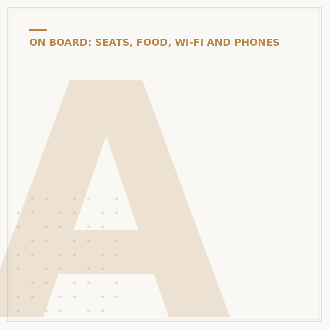 American Airlines Meals: Cabin Class Dining Standards