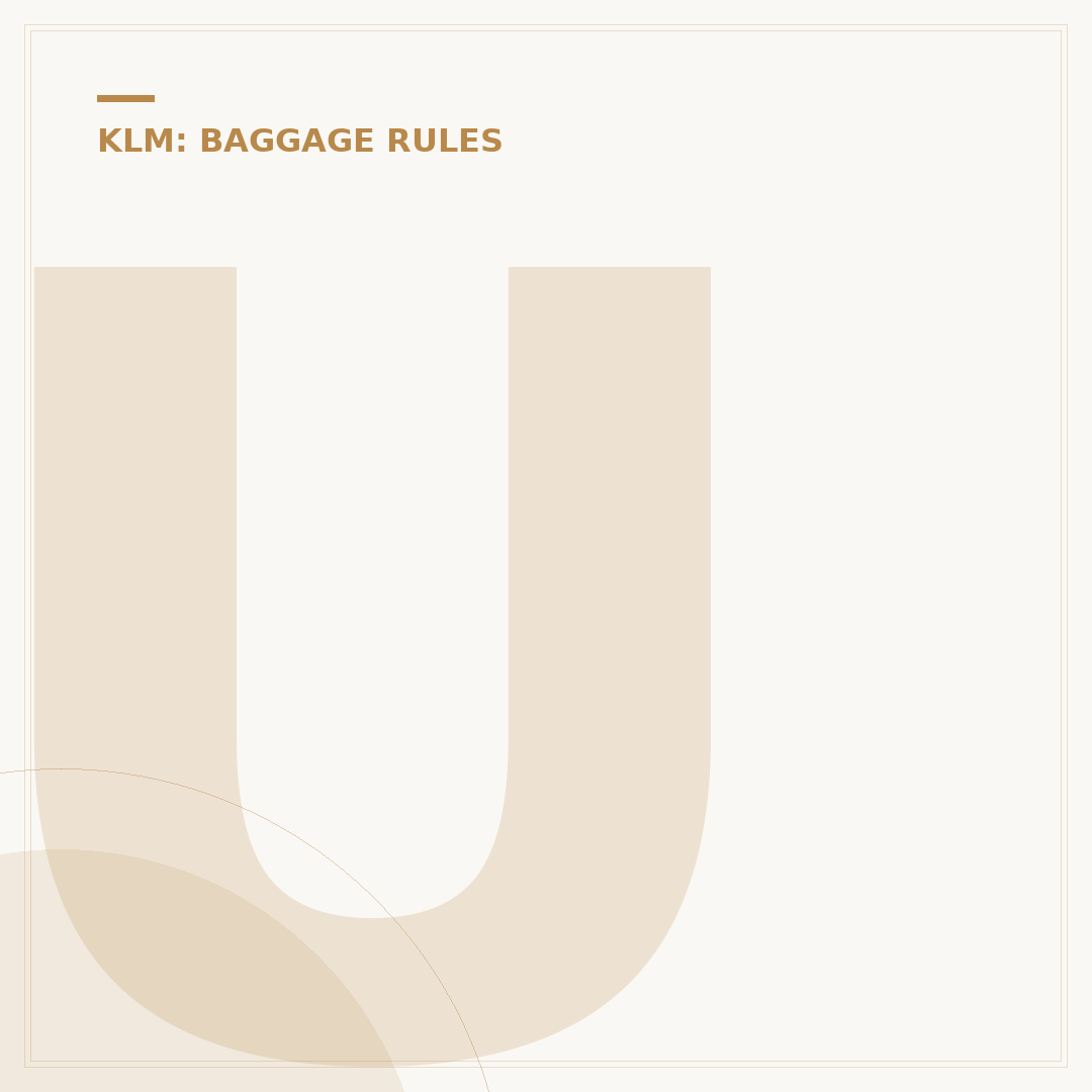 Using the KLM Baggage Tracing System: What You Must Know