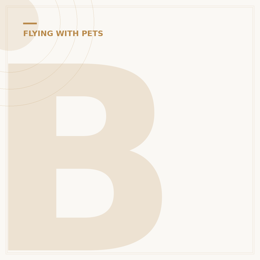 Best Dog Breeds for Plane Travel: Safety and Suitability