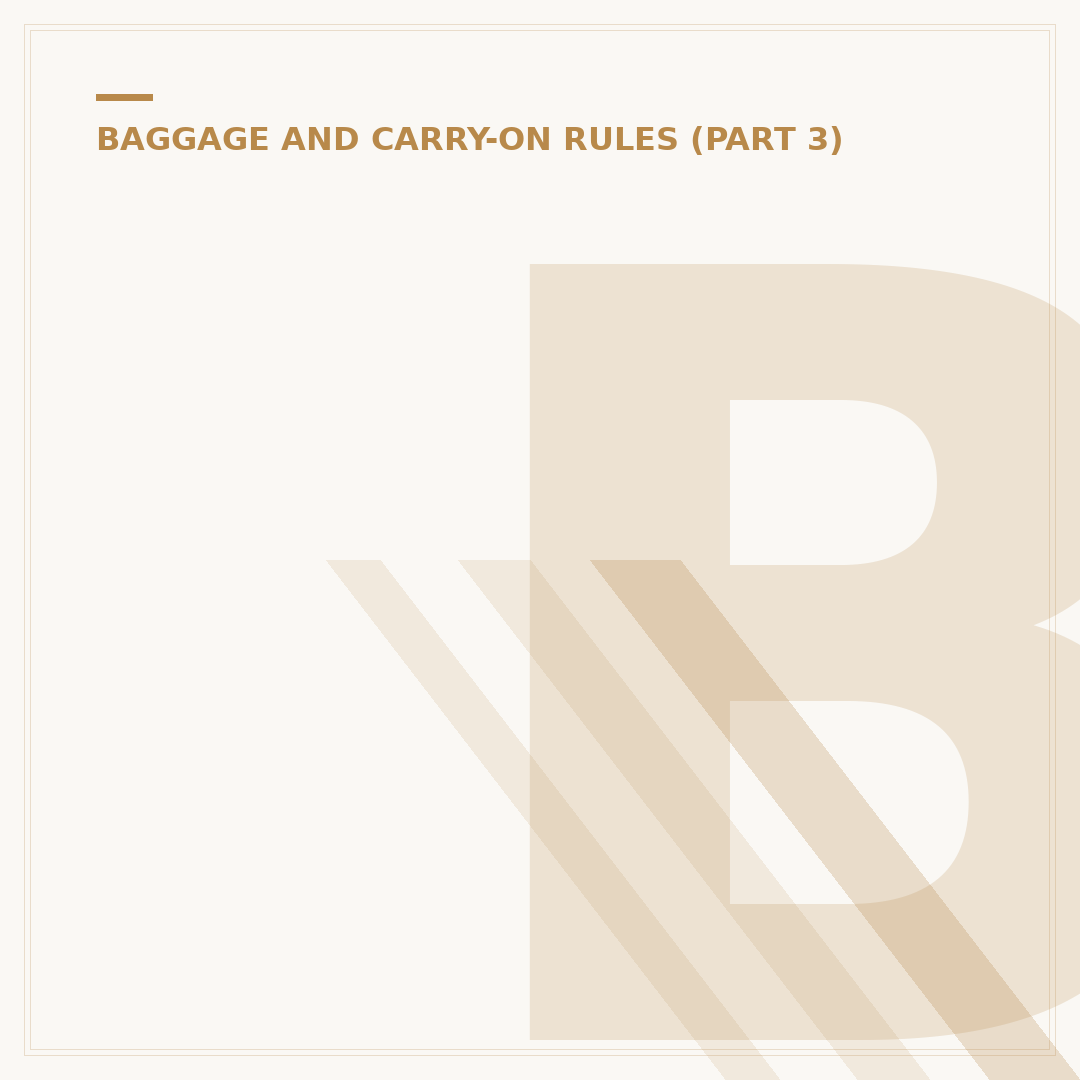 Birmingham Airport Hand Luggage: Regulations and Security