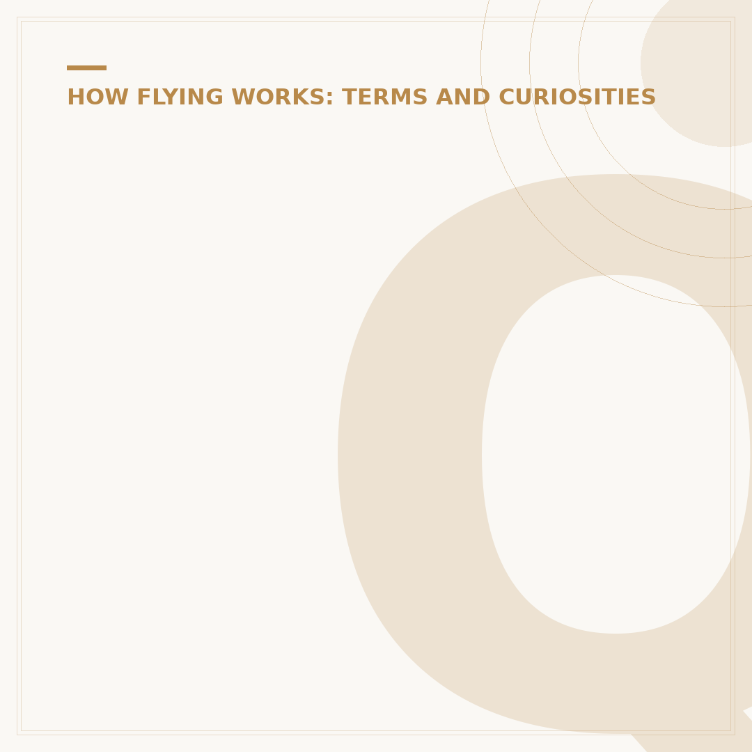 Qatar Airways Boeing 777: Fleet Analysis and Configuration