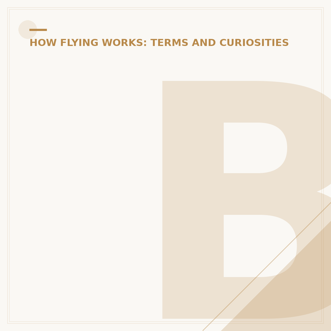 Boeing 787 TUI: Aircraft, Routes, and Seating