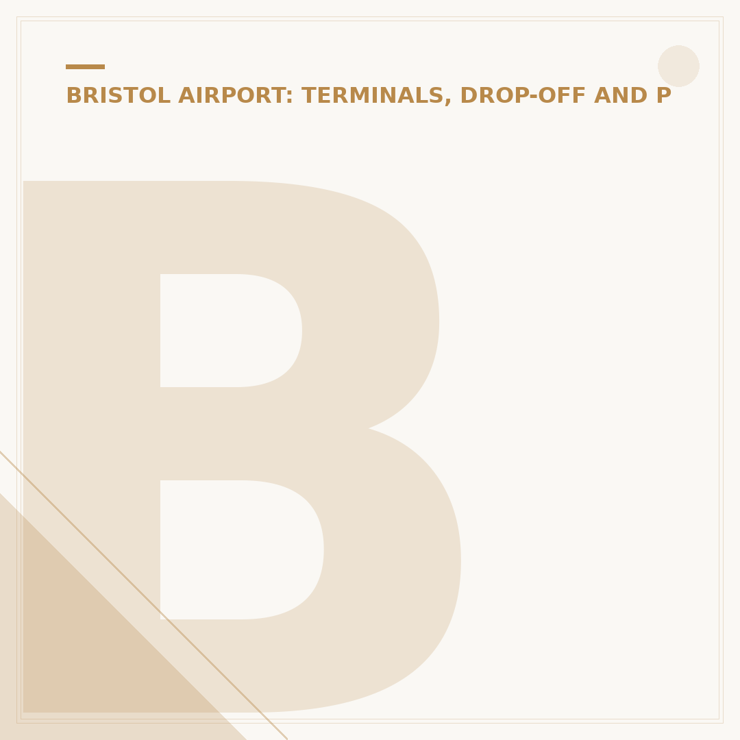Bristol Airport Speedy Security: Strategic Planning