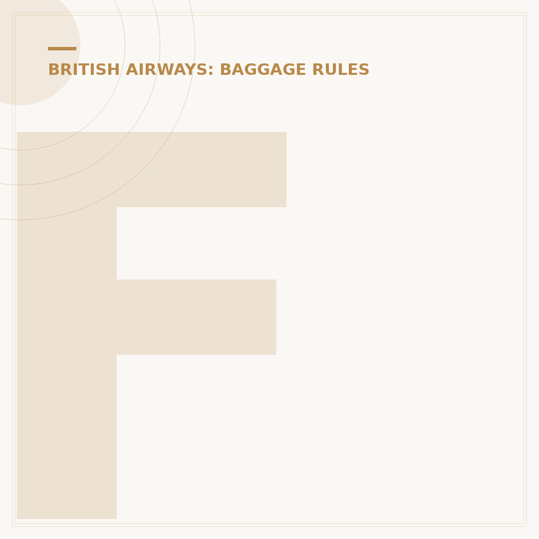 Filing a British Airways Baggage Damage Claim