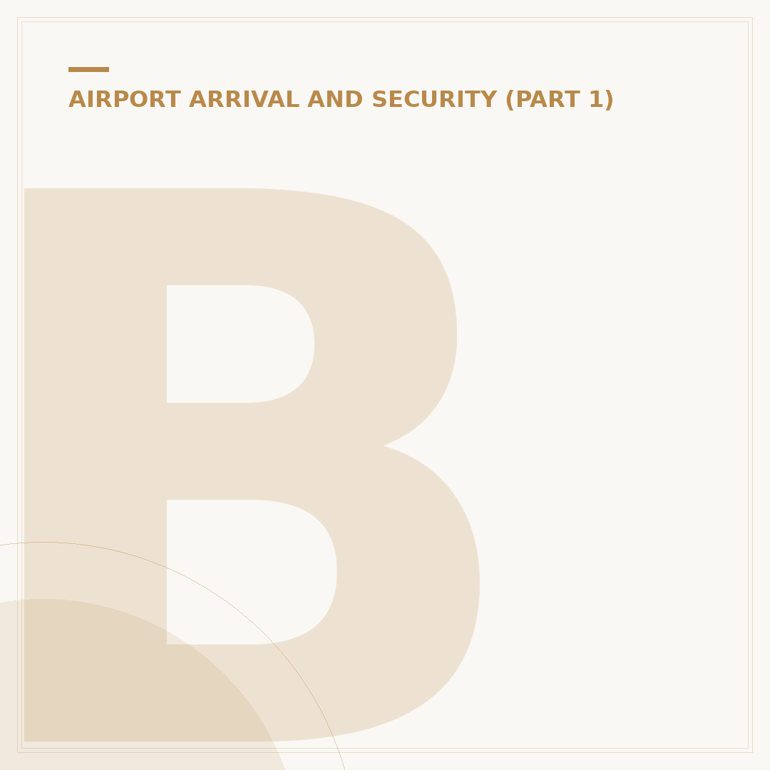 British Airways City Airport: Operational Insights
