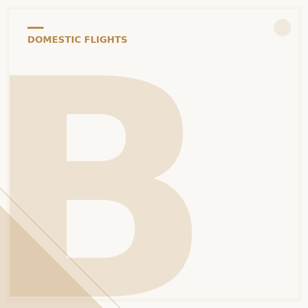 British Airways ID: Domestic Flights Requirements