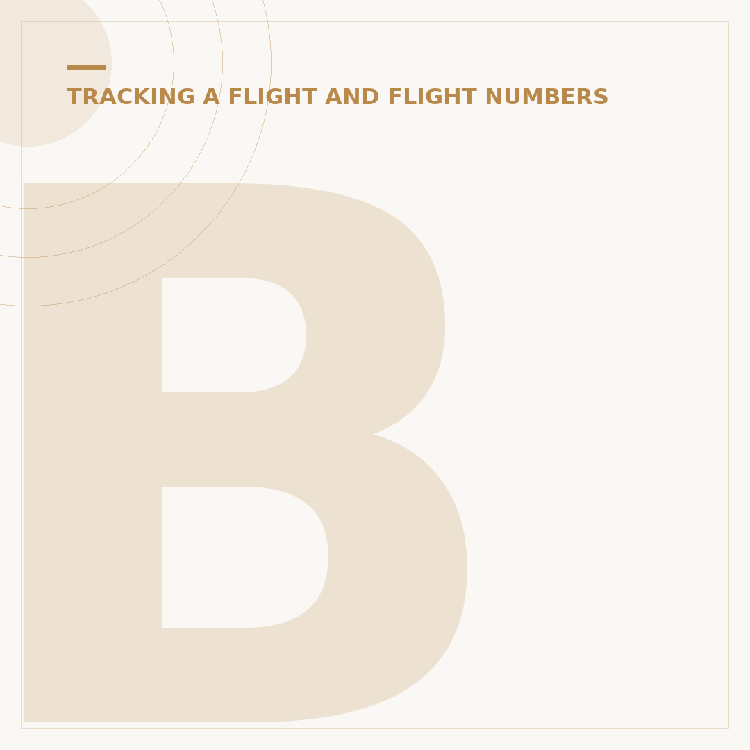 British Airways Flight Information