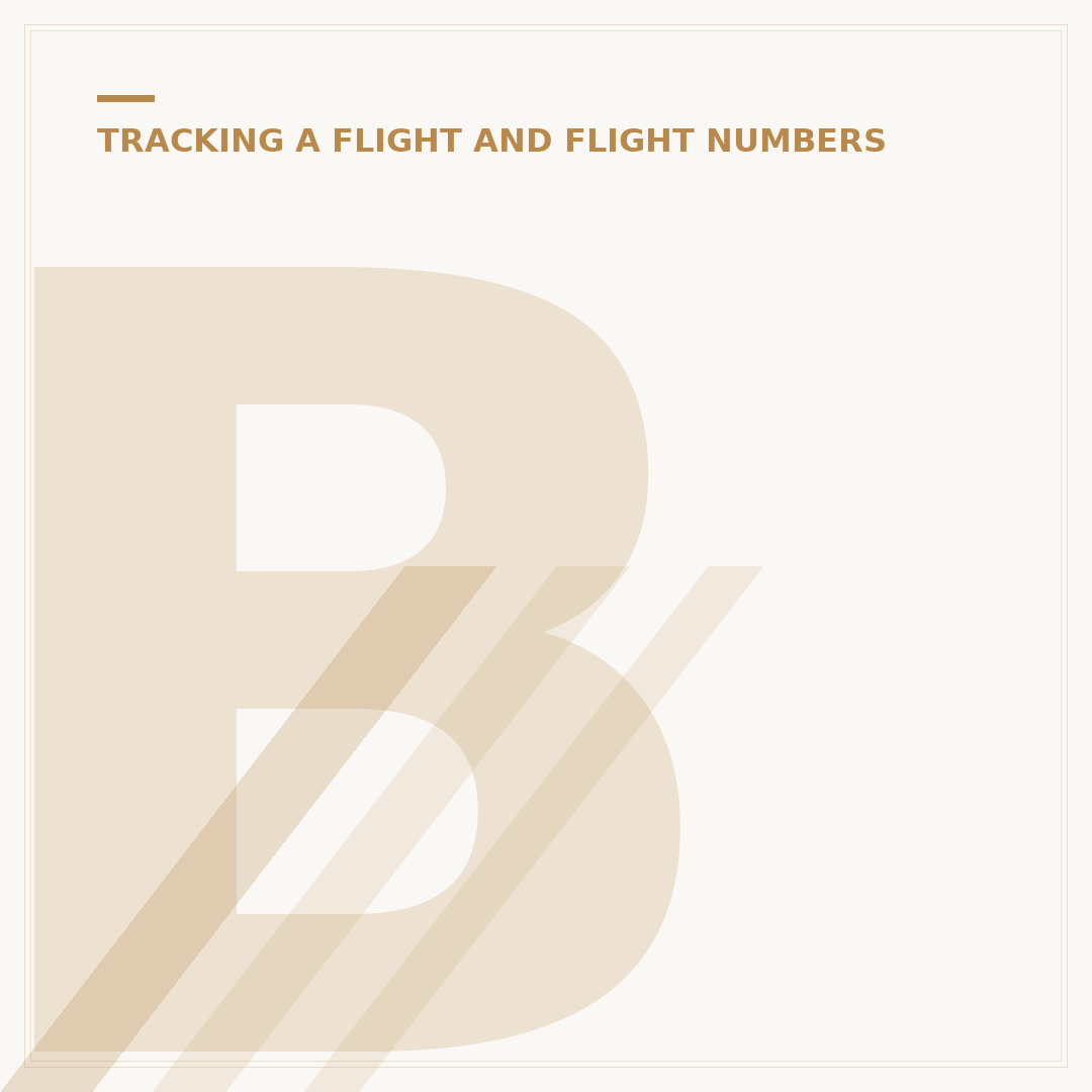 British Airways Lost Baggage Tracking: A Proven Approach