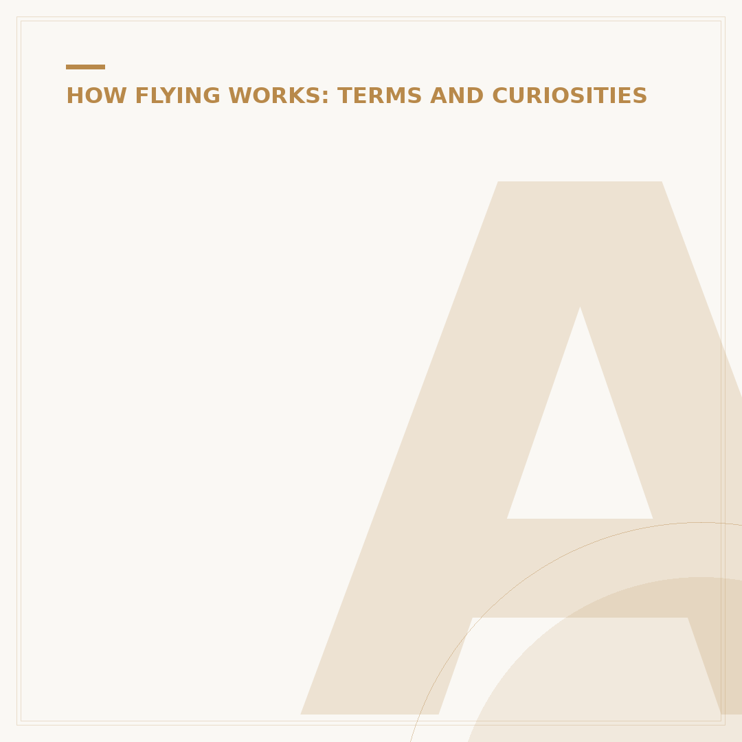 Applying for the British Airways Pilot Academy