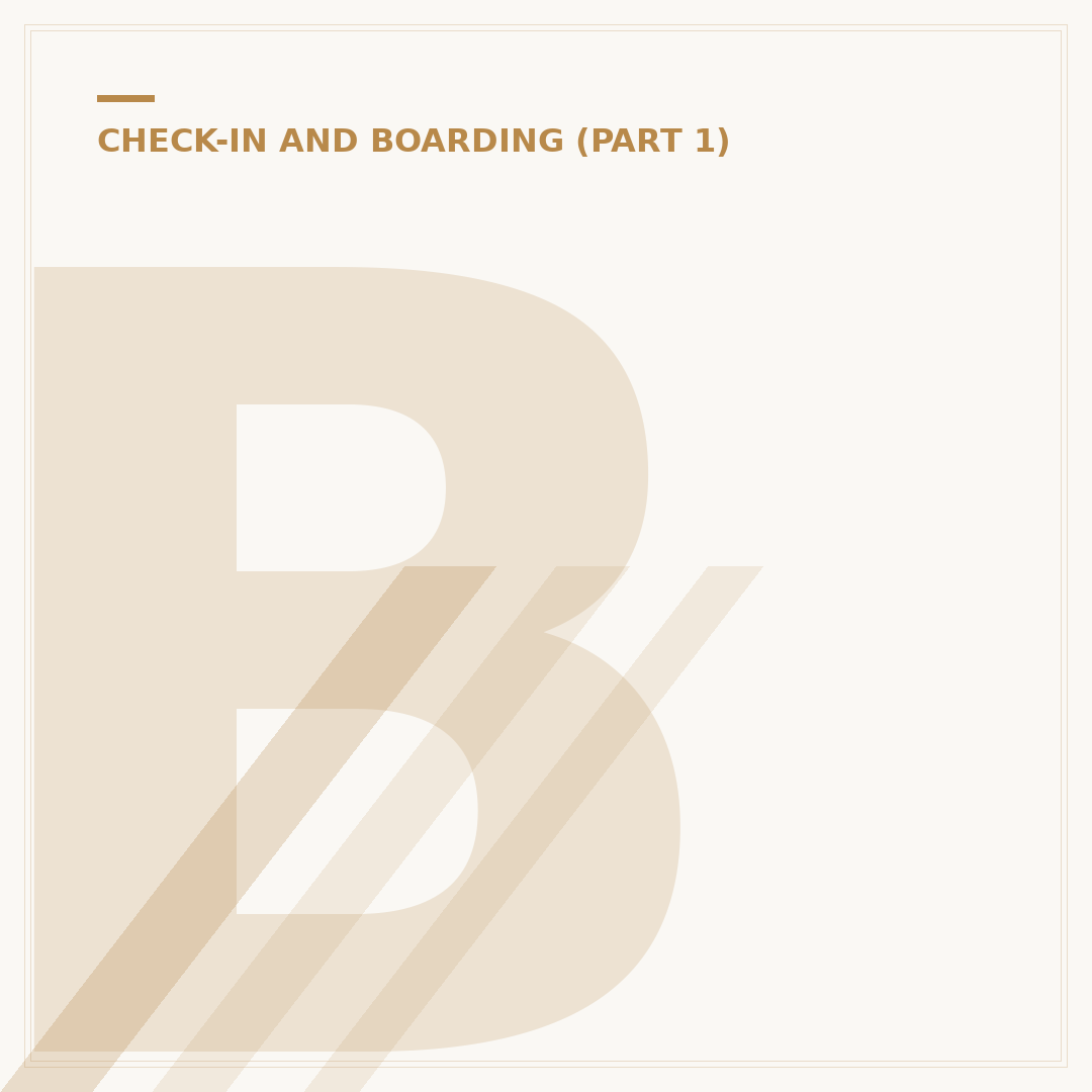 Brussels Airlines Check-in: Procedures and Troubleshooting