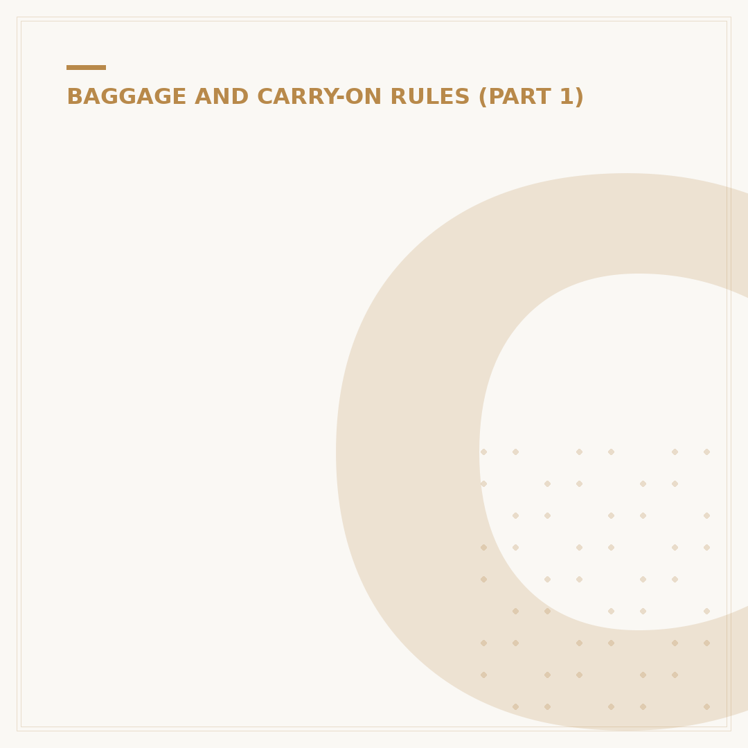 Cabin Bag Sizes and Airline Regulations Explained
