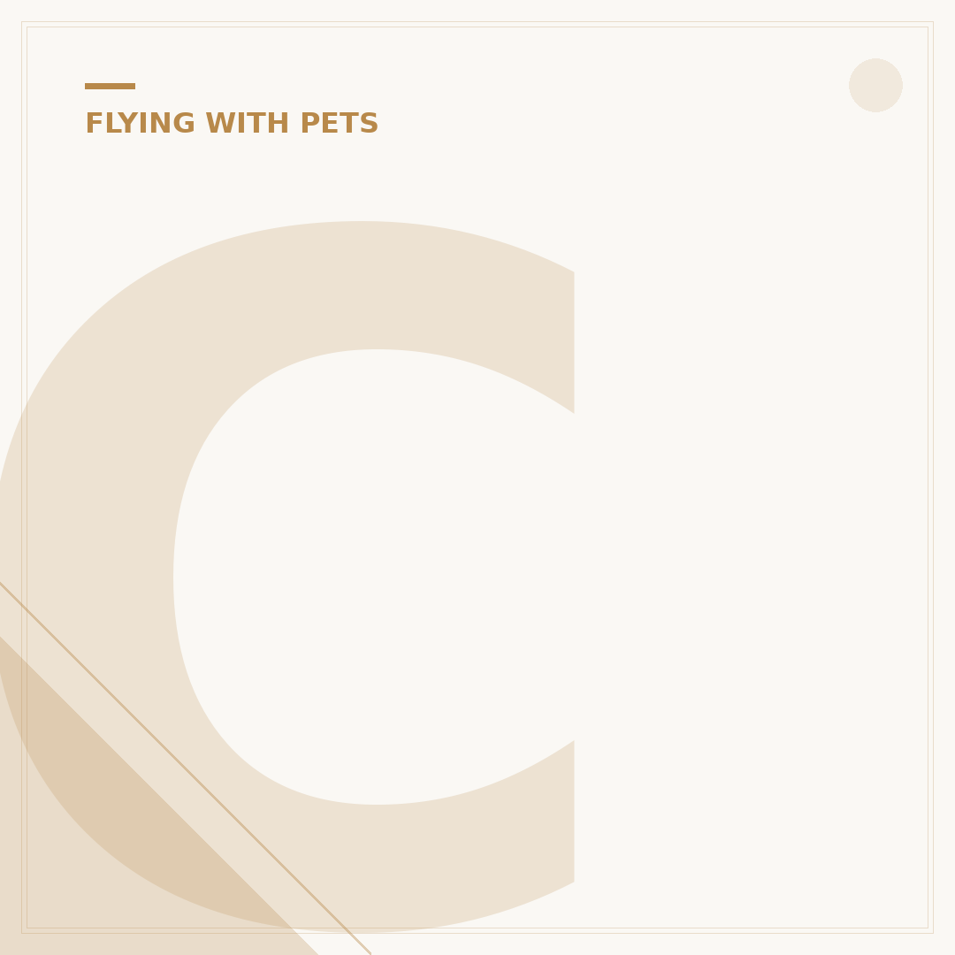 Can You Take a Dog on a Plane?