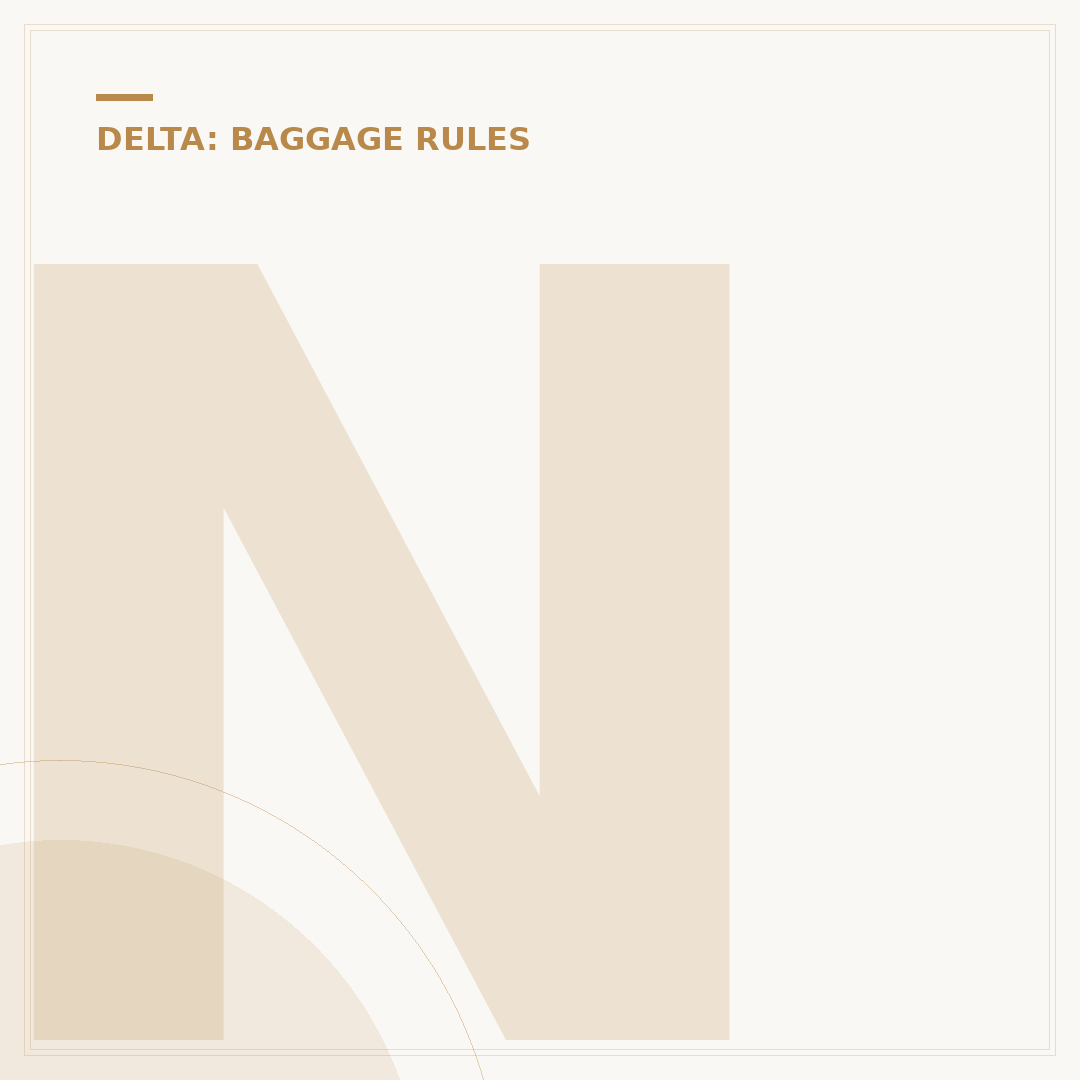 Navigating Delta Airlines Baggage Policy: International
